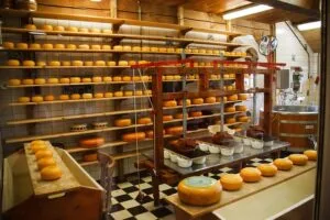 Food factory cleaning