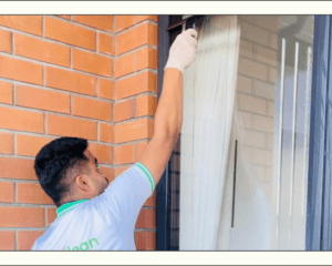 Window Cleaning Tips