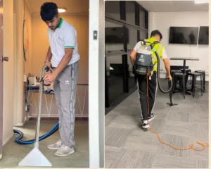 Professional Carpet Cleaning