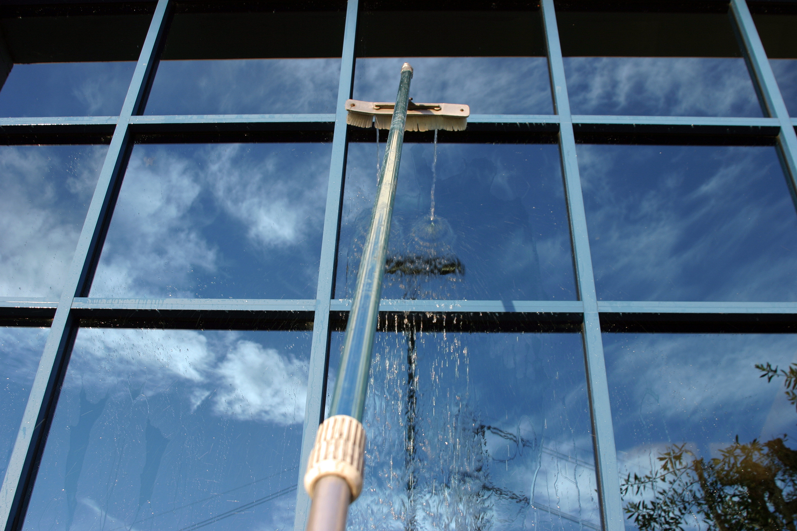 Commercial Window Cleaning