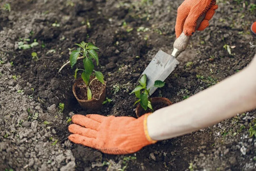 Gardening