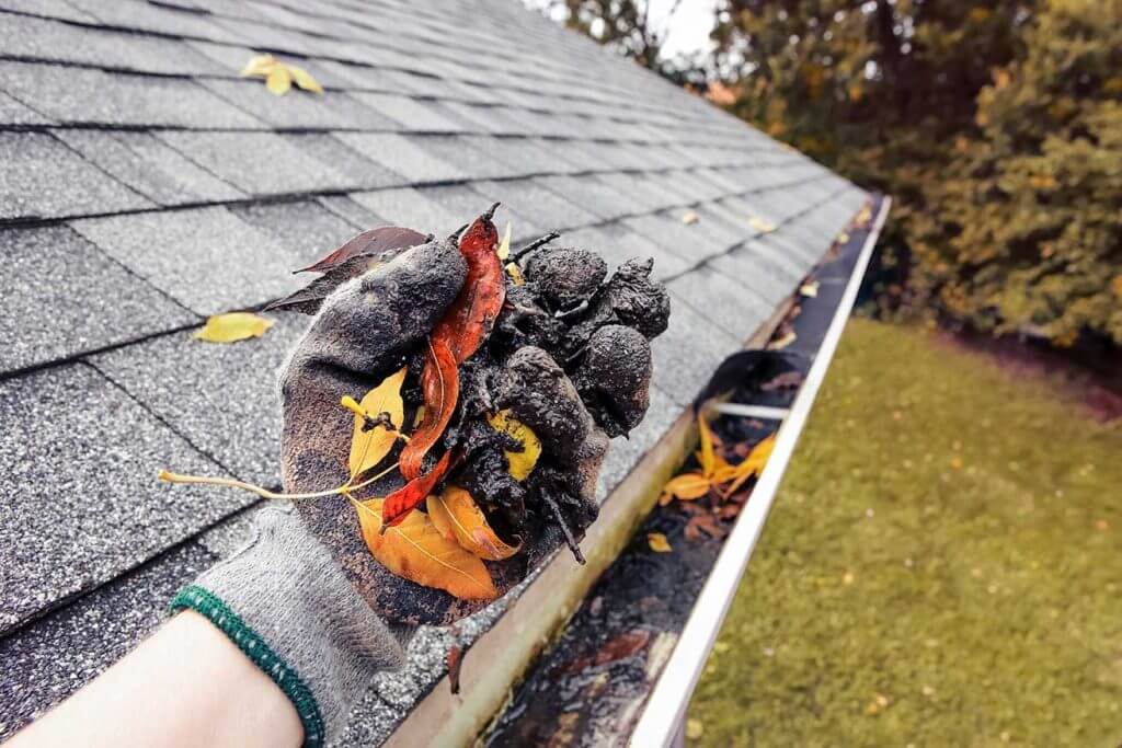 Gutter Cleaning