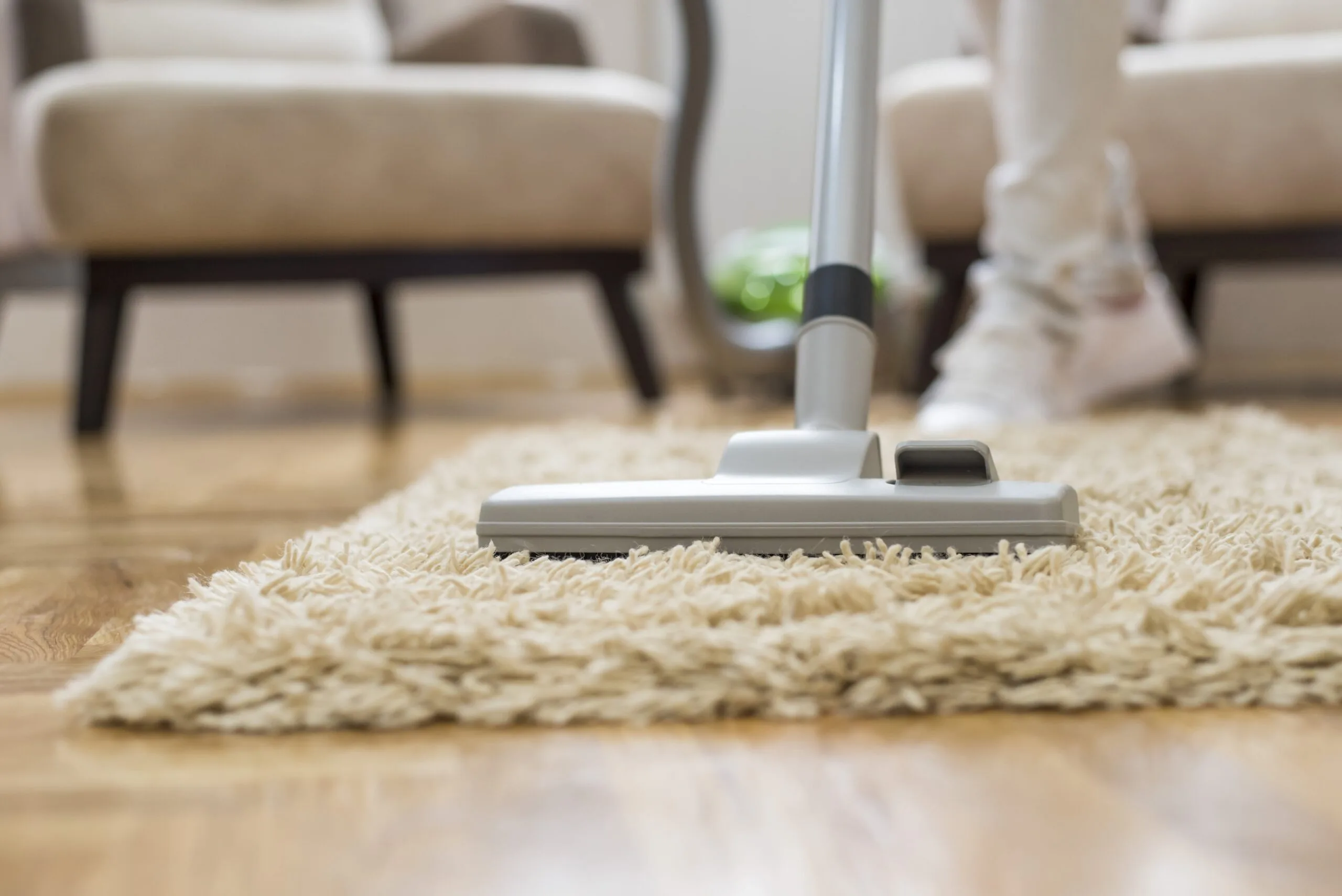 When You Need to Get Professional Carpet Cleaning Services