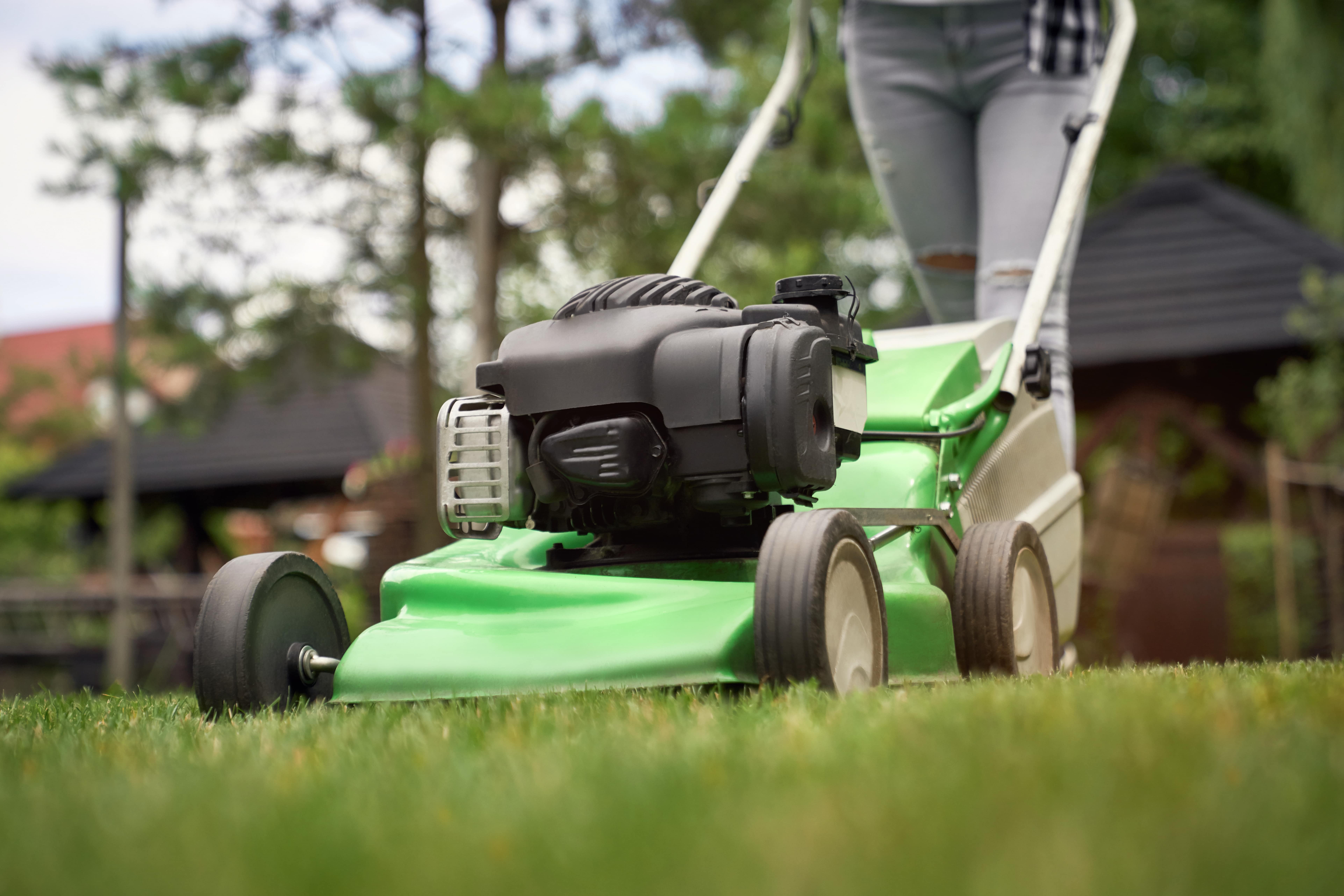 Auckland Lawn Mowing Services– Reliable Lawn and Gardening Services