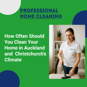 auckland cleaning company