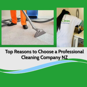 professional cleaners auckland