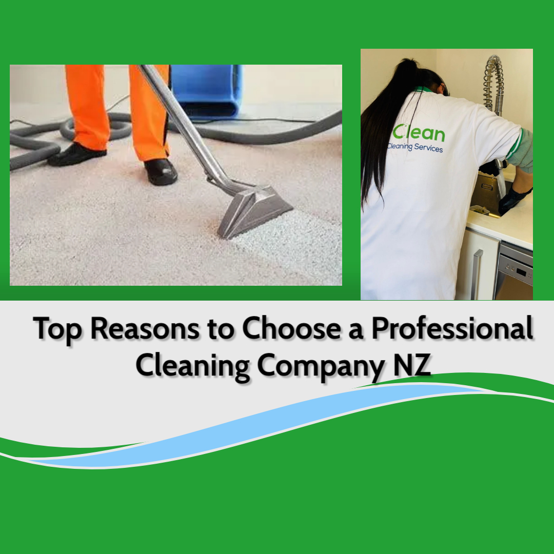Top Reasons to Choose a Professional Cleaning Company NZ