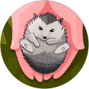 Sharni Funaki profile picture