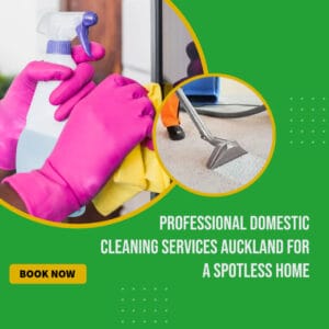 Home cleaning services auckland