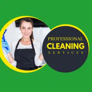 professional cleaners auckland