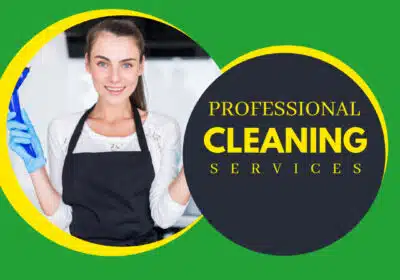 professional cleaners auckland