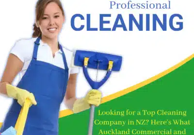 professional cleaners auckland